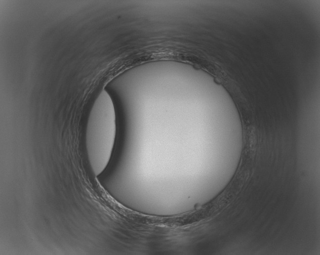 X0000085730737200703160836