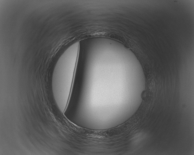X0000085730743200703160836