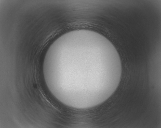 X0000085730744200703160836