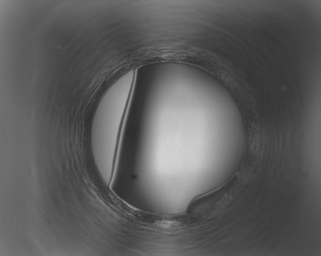 X0000085730748200703160836