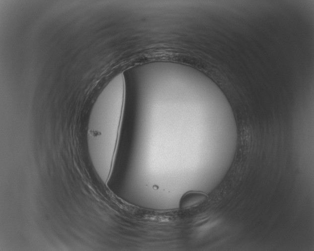 X0000085730751200703160836