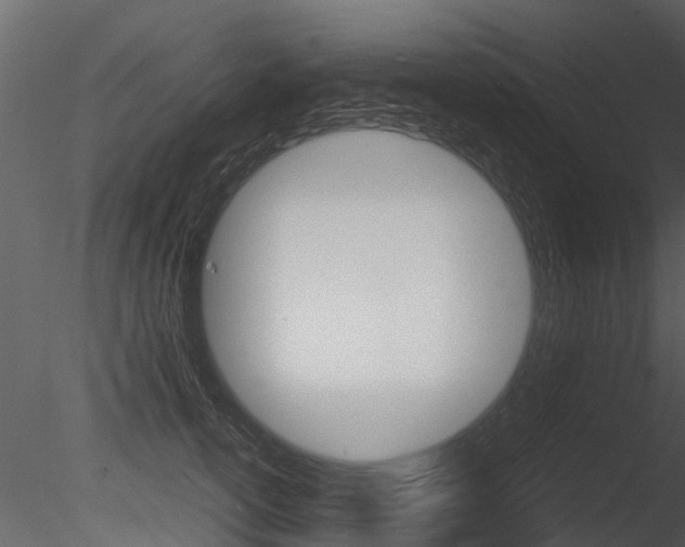 X0000085730754200703160836