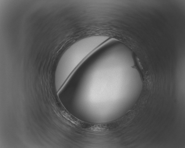 X0000085730756200703160836