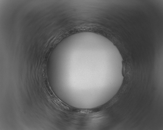 X0000085730758200703160836