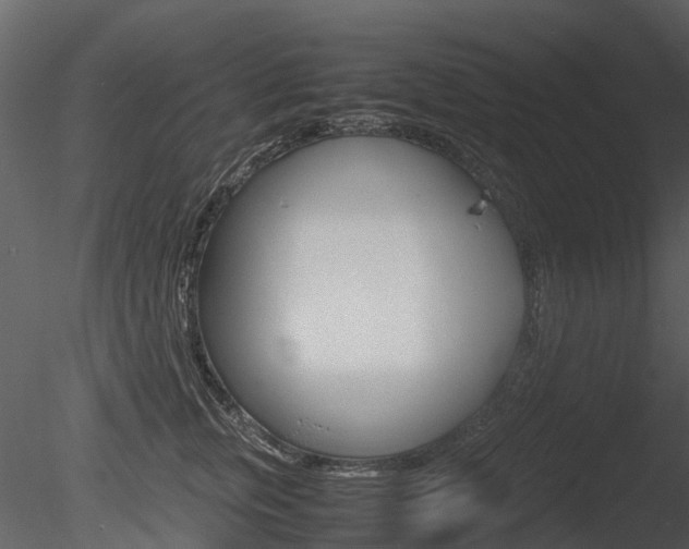 X0000085730759200703160836