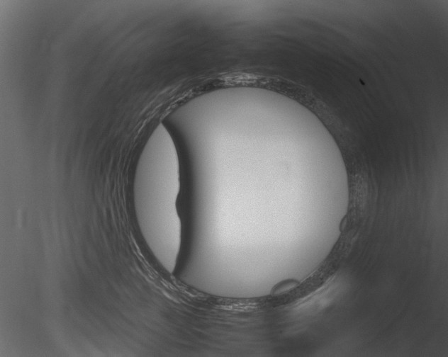 X0000085730761200703160836