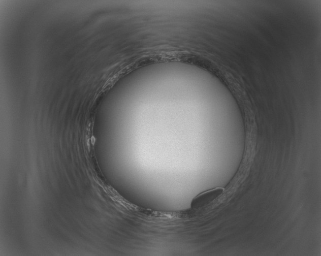 X0000085730768200703160836