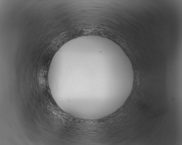 X0000085730770200703160835