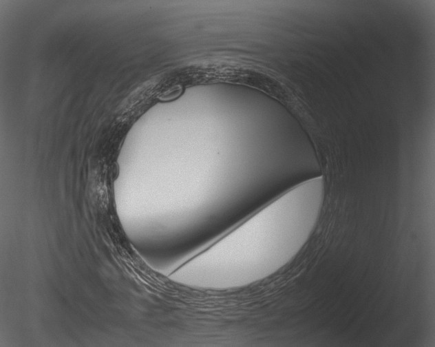 X0000085730771200703160835
