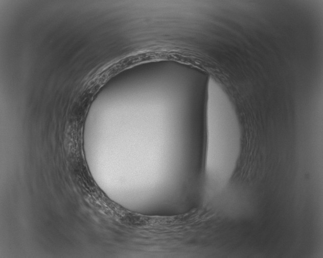 X0000085730773200703160835