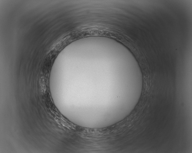 X0000085730774200703160835