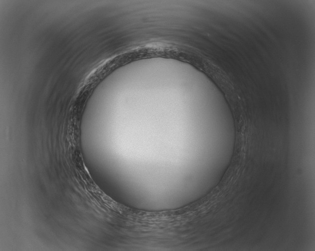 X0000085730776200703160835