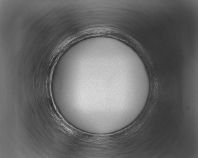 X0000085730778200703160835