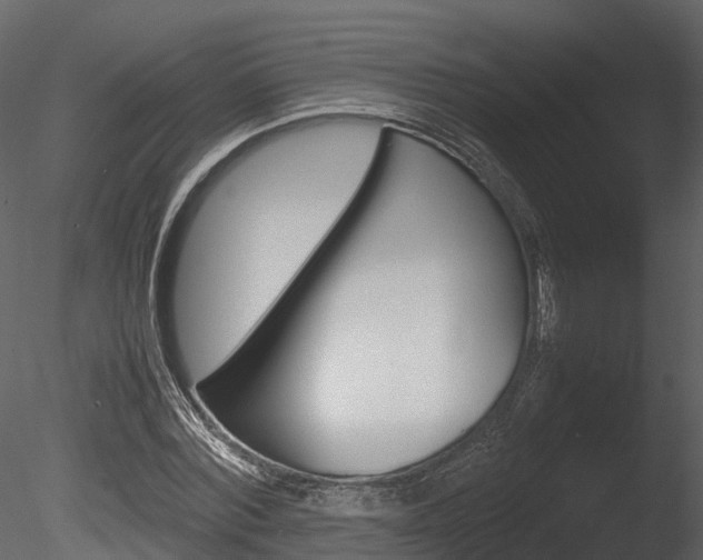 X0000085730780200703160835
