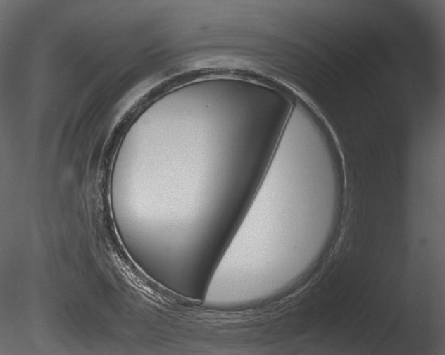 X0000085730783200703160835