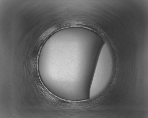 X0000085730785200703160835