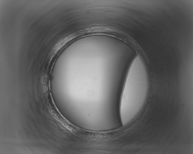 X0000085730786200703160835