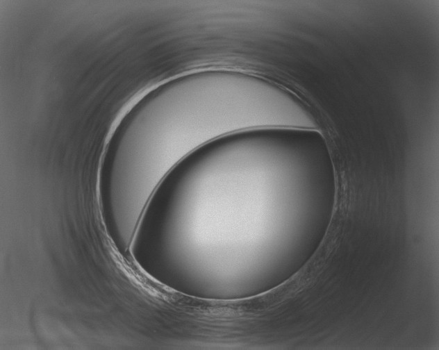 X0000085730788200703160835