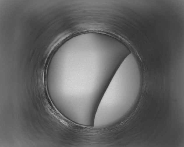 X0000085730790200703160835