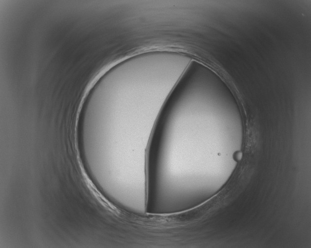 X0000085730795200703160835
