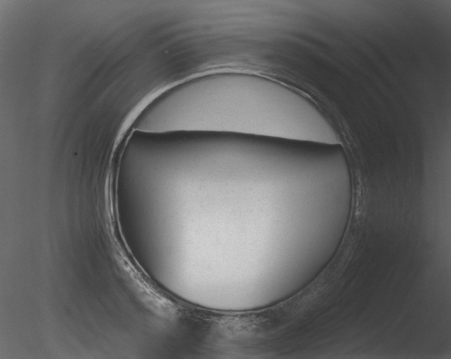 X0000085730796200703160835