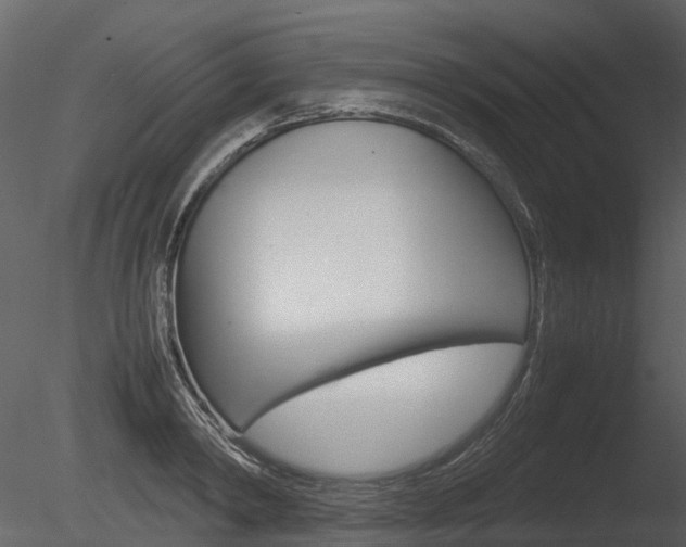X0000085730798200703160835