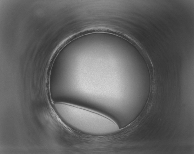 X0000085730799200703160835