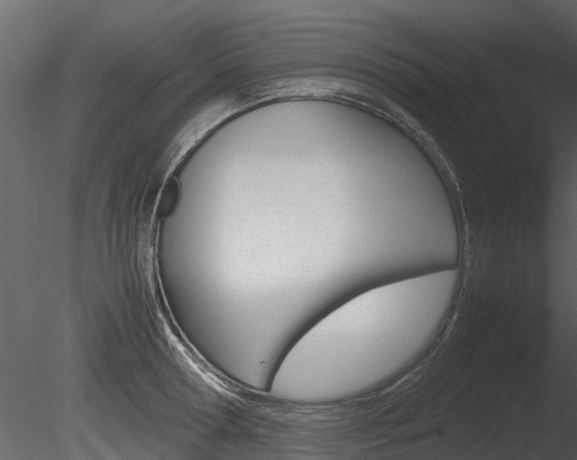 X0000085730802200703160835