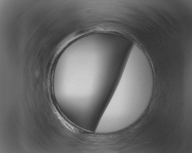 X0000085730803200703160835