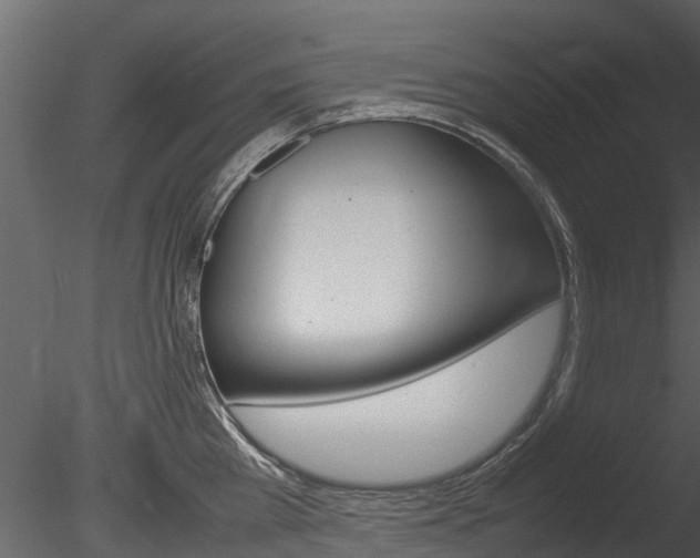 X0000085730809200703160835