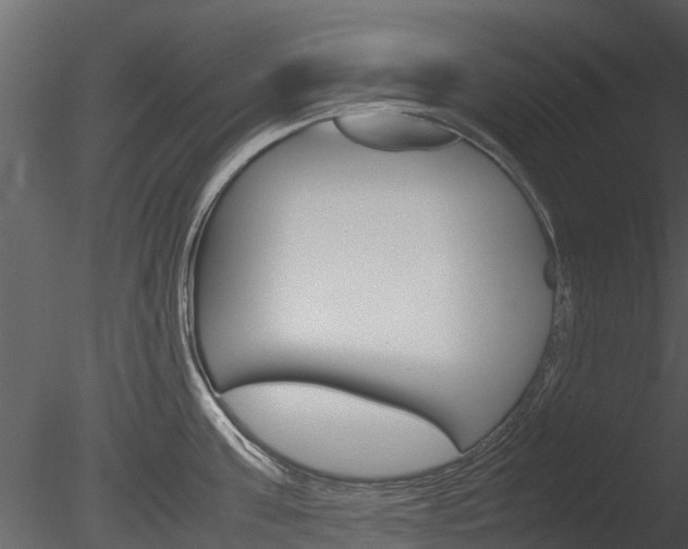 X0000085730811200703160835