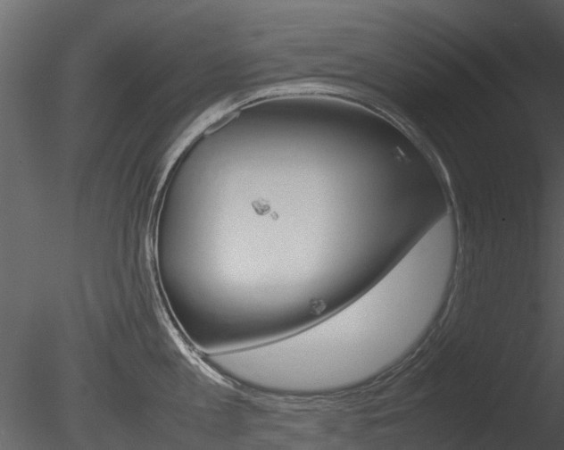X0000085730813200703160835