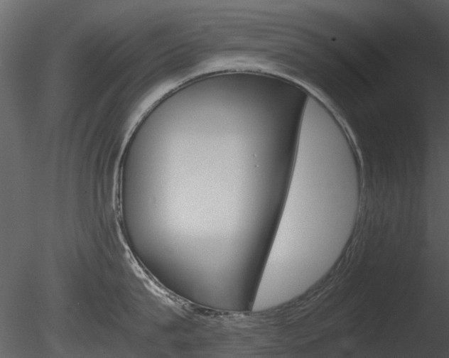 X0000085730815200703160835