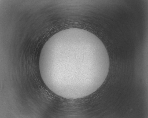 X0000085730818200703160834