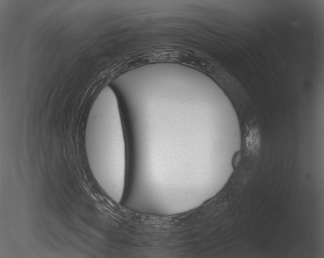 X0000085730819200703160834
