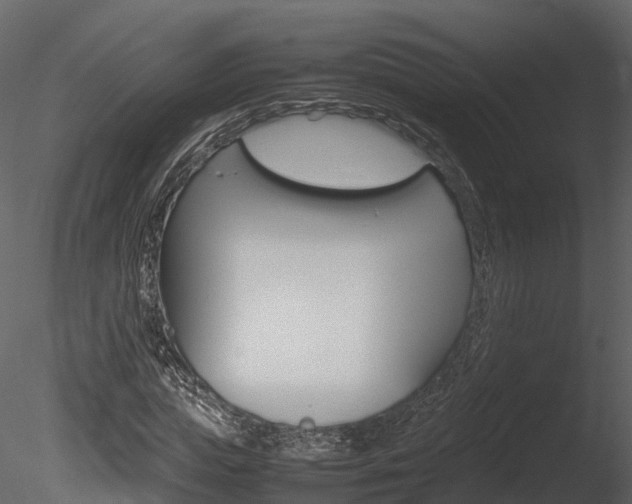 X0000085730823200703160834