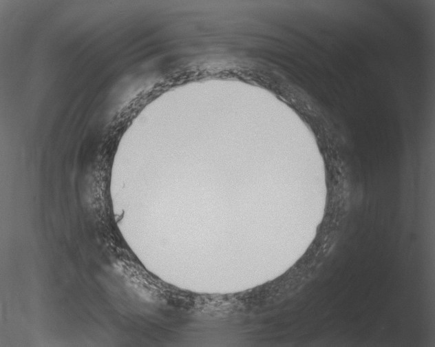 X0000085730824200703160834