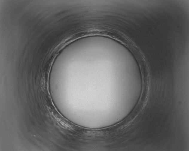 X0000085730825200703160834