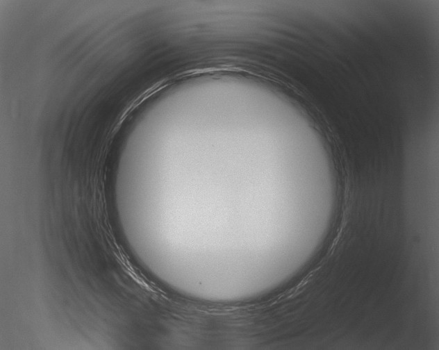 X0000085730826200703160834