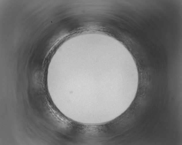 X0000085730828200703160834