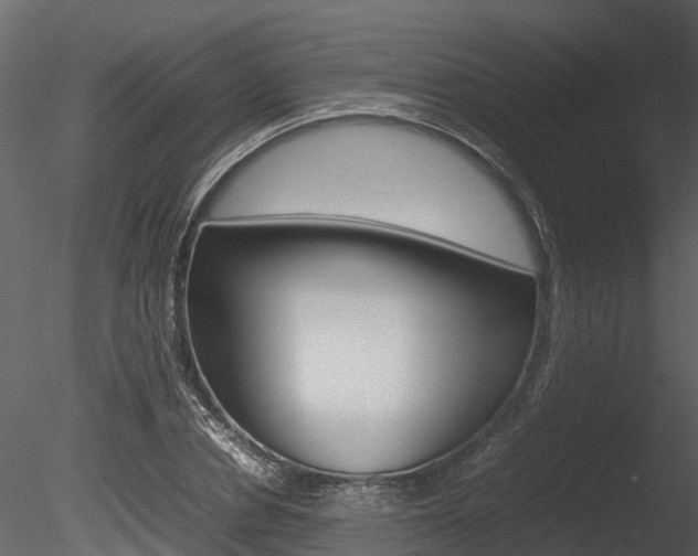 X0000085730834200703160834