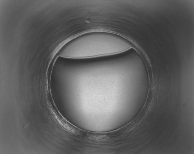 X0000085730837200703160834