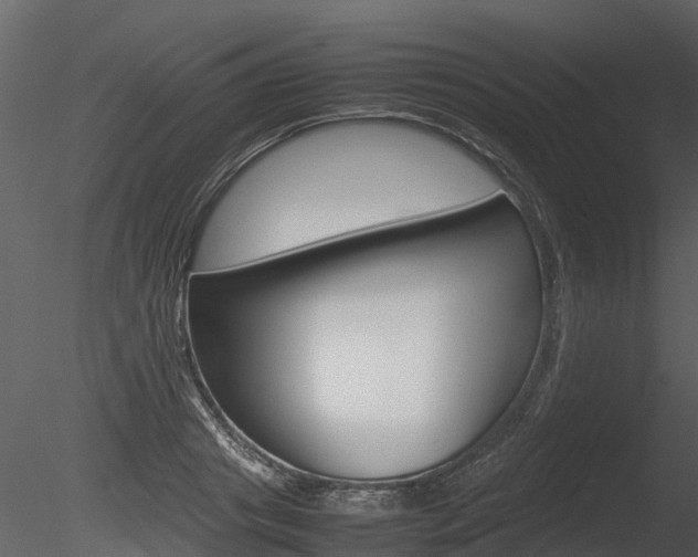 X0000085730841200703160834