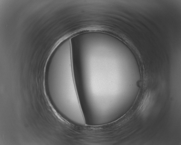 X0000085730845200703160834