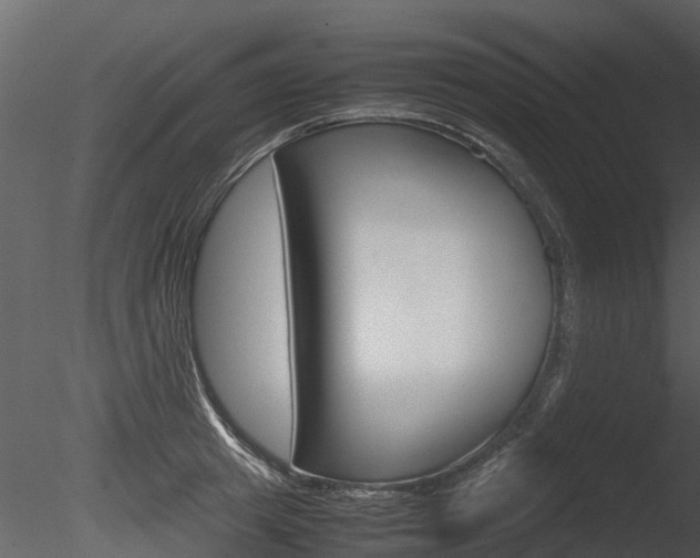 X0000085730849200703160834