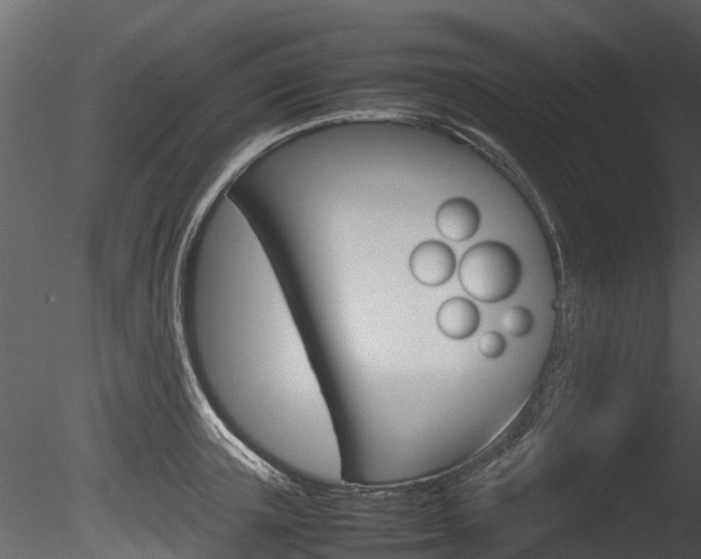 X0000085730851200703160834