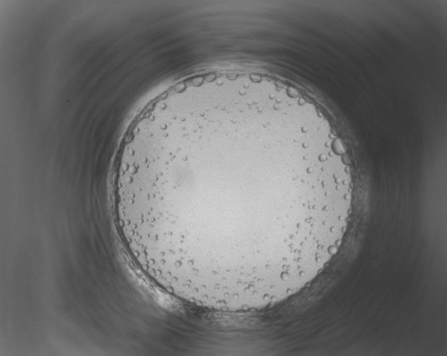 X0000085730856200703160834