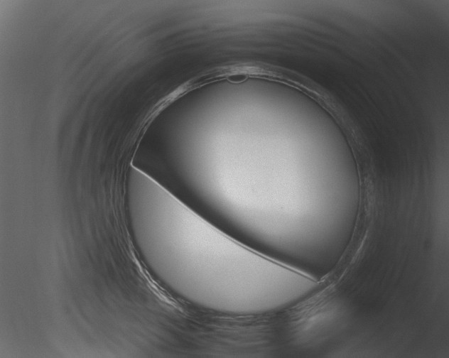 X0000085730857200703160835