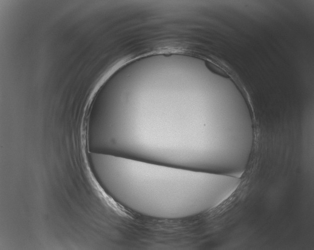 X0000085730859200703160835