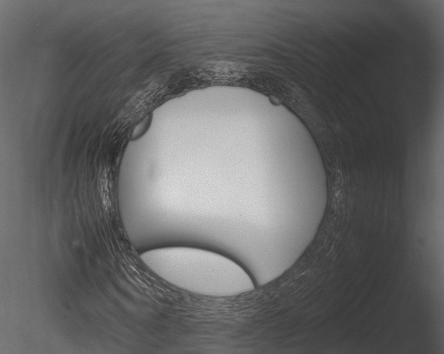 X0000085730866200703160834